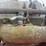 20-35-twin-city-image-23