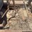 caterpillar-twenty-crawler-image-52