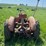allis-chalmers-with-sickle-mower-image-4