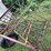 #7455-•-hay-rake-image-17
