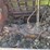 caterpillar-fifteen-crawler-image-35