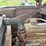 chevy-400-truck-with-minneapolis-moline-corn-sheller-image-93