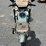 unused-irgc40-battery-powered-mini-golf-cart-image-2