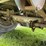 1982-monn-t/a-side-dump-sugar-beet-trailer-image-16