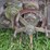 keck-gonnerman-30-60-image-37