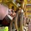 howard-platypus-crawler-image-22