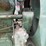 huber-image-22