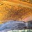 minneapolis-moline-gtc-image-35
