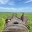 mccormick-deering-10-20-image-11