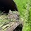 john-deere-d-image-42