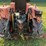 goldoni-236-4wd-image-14