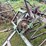 #7452-•-pull-behind-field-cultivator-image-8
