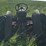 mccormick-deering-w-4-gas-image-4