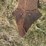 horse-drawn-potato-plow-image-11