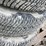 245/75r17-tires-&-rims-image-18