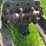 john-deere-model-gm-image-12