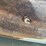 minneapolis-moline-gtc-image-41