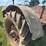allis-chalmers-u-image-46