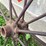 #7487-•-vintage-metal-spoke-tractor-tire-image-2