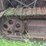 oliver-cleatrac-adh-crawler-image-21