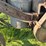 mccormick-deering-titan-10-20-image-37