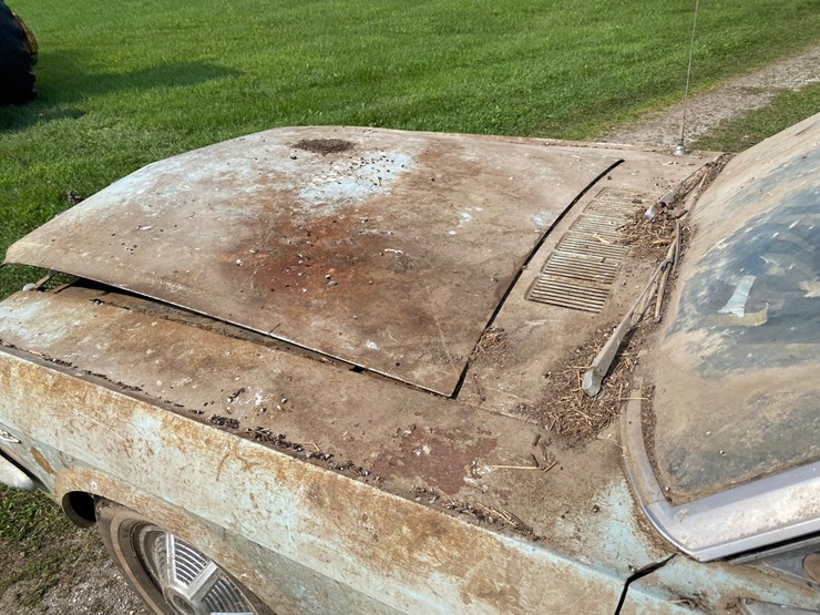 1964-1/2--ford-mustang---with-title-image-25