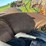 co-op-tractor-image-43