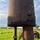 white-field-boss-150-image-44