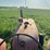 mccormick-deering-w-9-gas-image-30