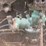 huber-image-21