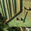 cox-creep-feeder-image-15