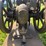 nice-original-ih-mogul-1.5hp-image-15