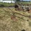 horse-drawn-potato-plow-image-2
