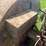 huber-image-38