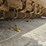 john-deere-25a-image-16
