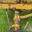 minneapolis-moline-g-image-12