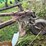 #7465-•-john-deere-3-bottom-plow-image-5