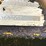 minneapolis-moline-g-image-86