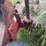 implement-transport-trailer-image-10