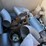 #1032-•-assorted-stainless-steel-fittings-image-1