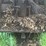 huber-image-42