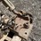 #6350-•-ridgid-pipe-vise-image-5
