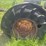 john-deere-d-image-26