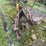 #7492-•-antique-plow-image-7