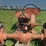 allis-chalmers-unstyled-wc-image-33