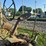 john-deere-model-a-image-37