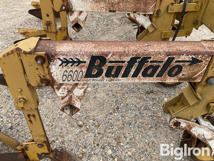 buffalo-6600-image-12