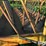 elk-creek-manufactuting-portable-hay-feeder-image-12