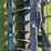 grapple-image-9
