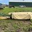 krone-242-9'-3-pt-disc-mower-image-6